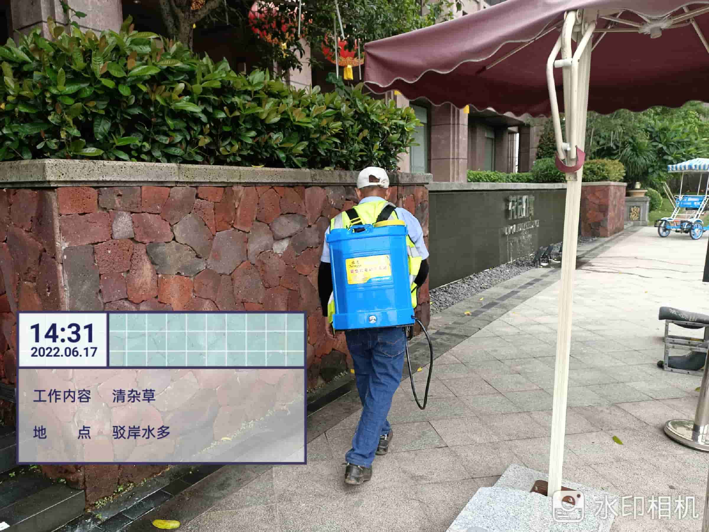 垂直綠化,園林綠化