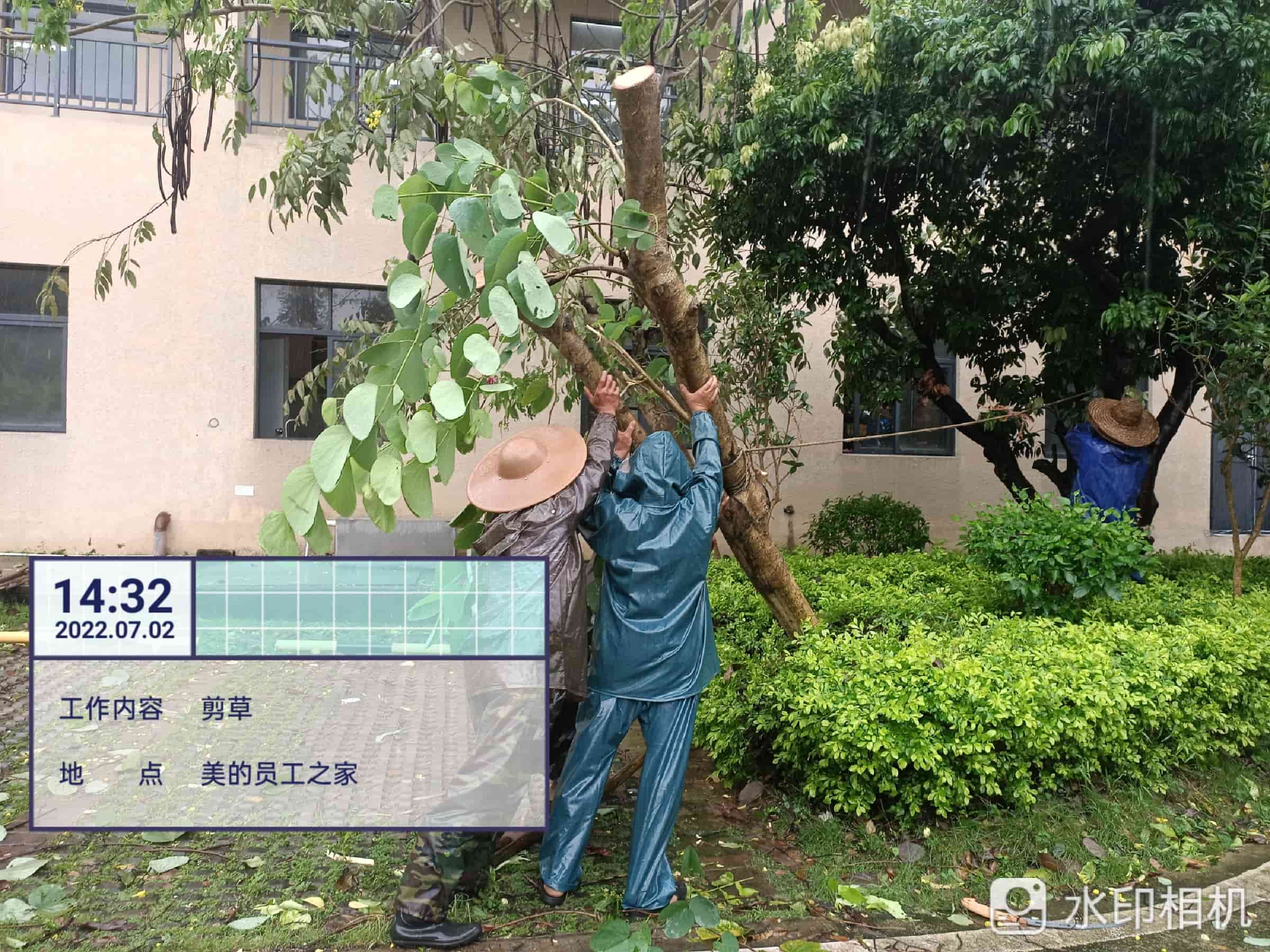 綠化養(yǎng)護(hù)