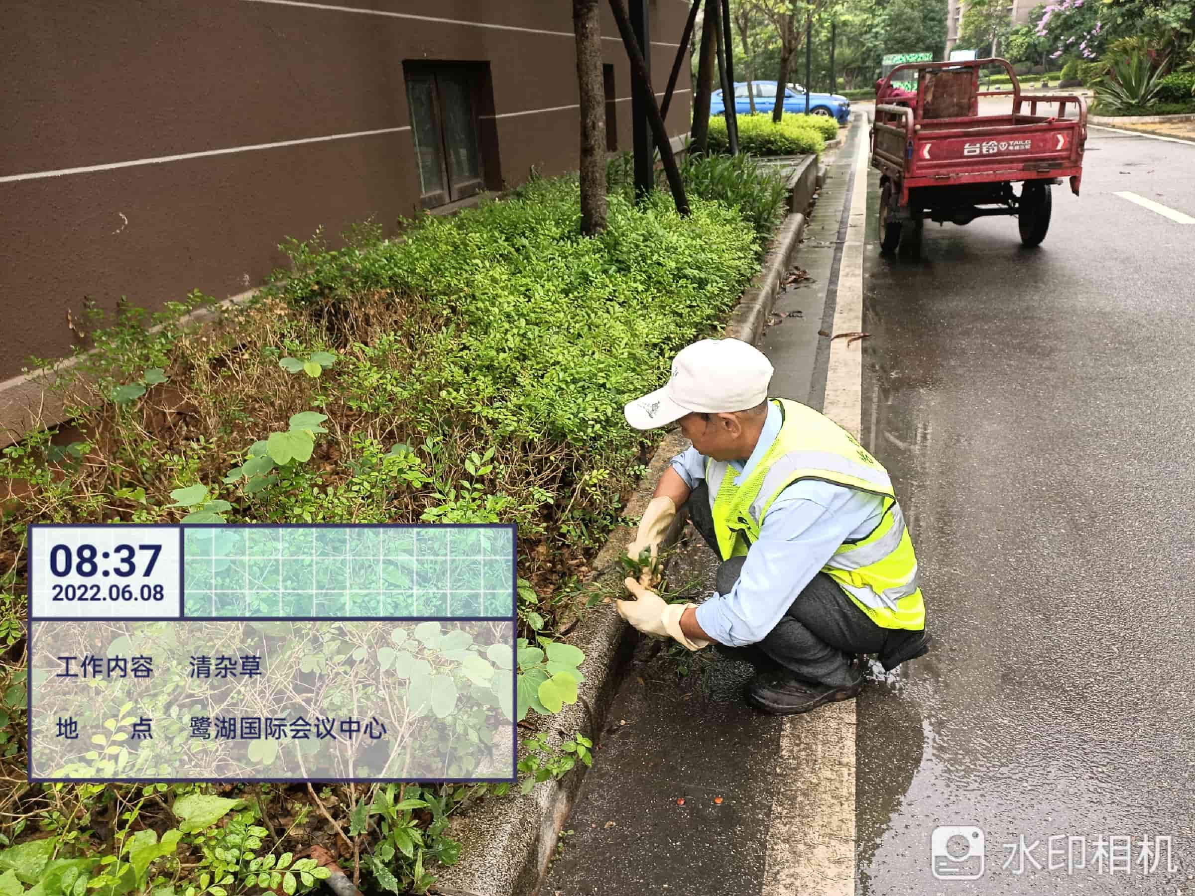 綠化養(yǎng)護(hù)