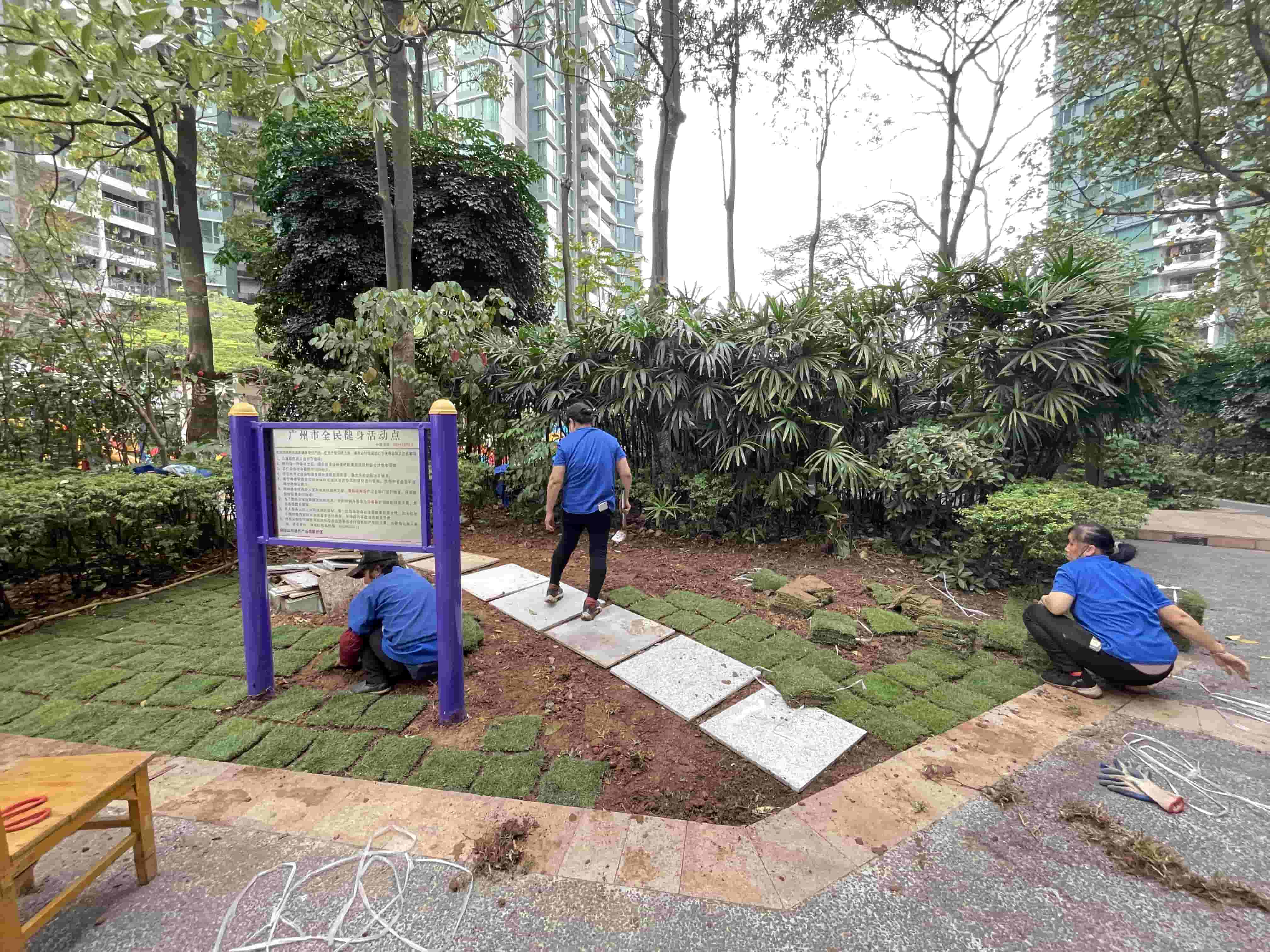 肇慶綠化工程公司,園林綠化