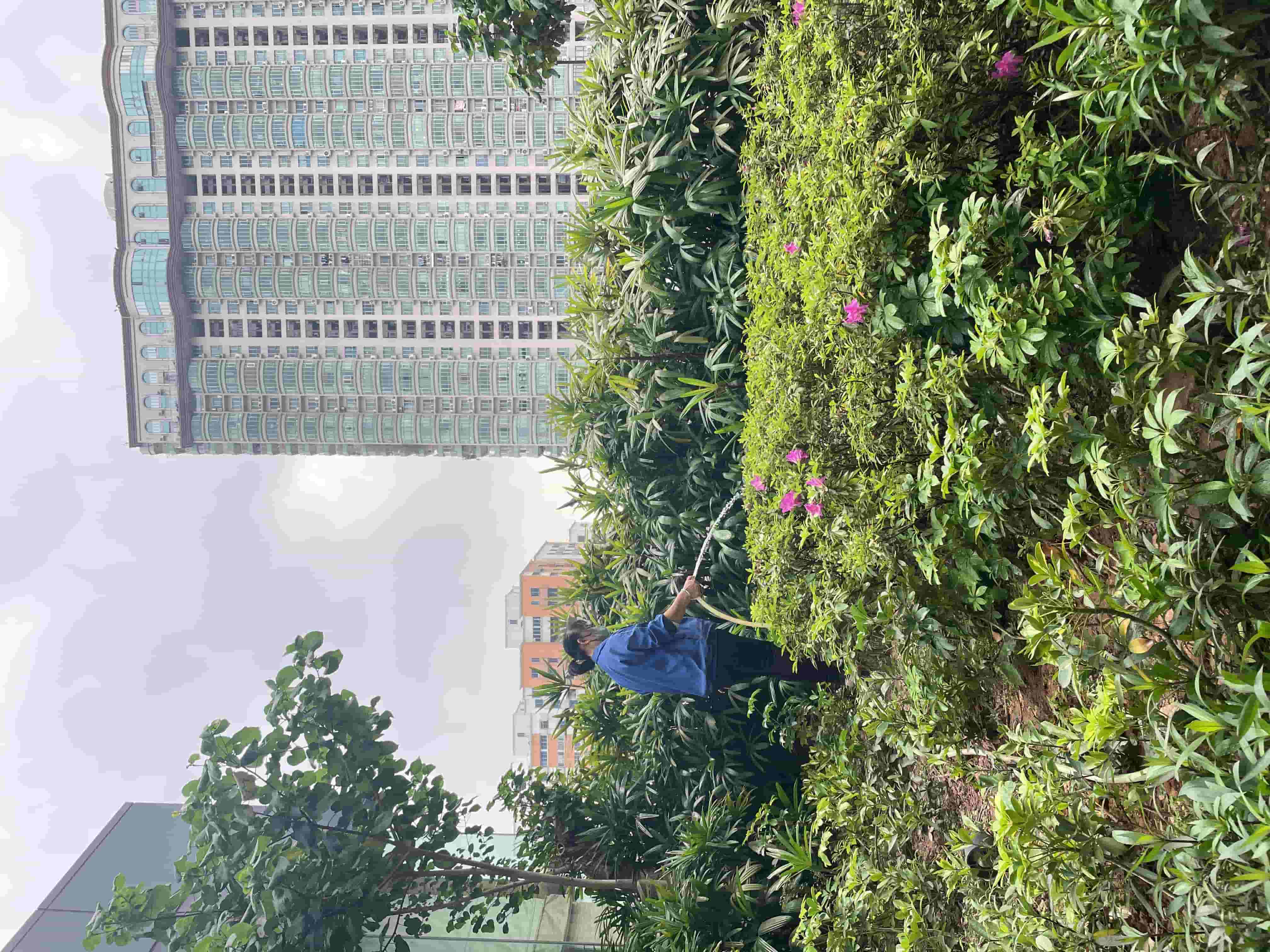 園林綠化工程,園林綠化