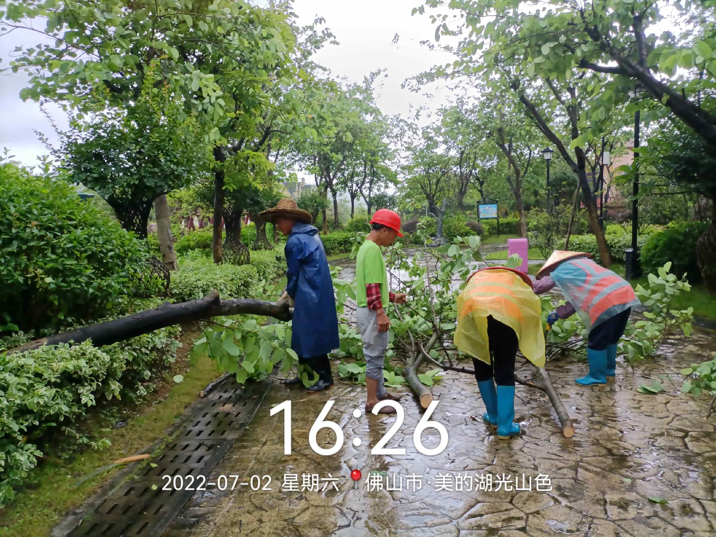 綠化養(yǎng)護(hù)