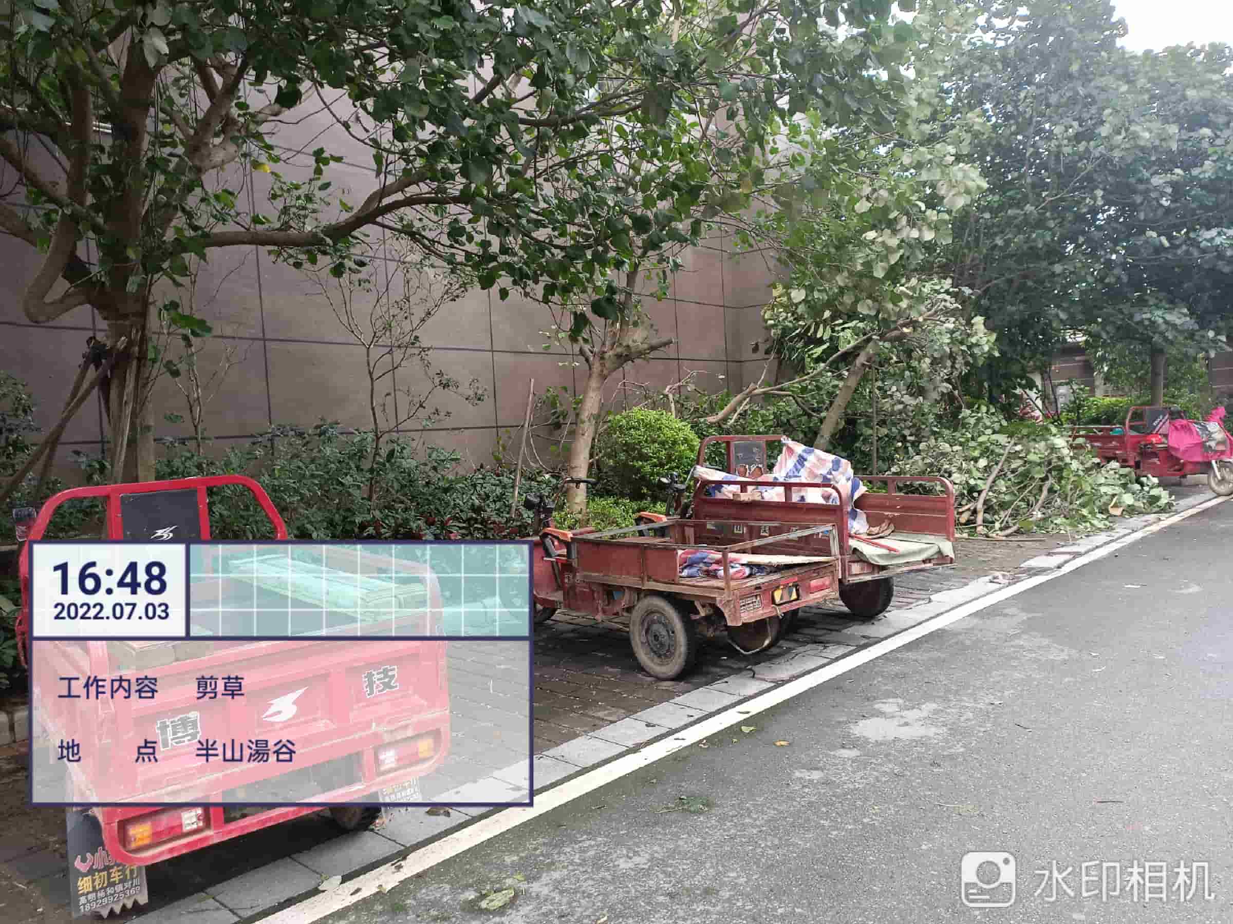 園林養(yǎng)護(hù)