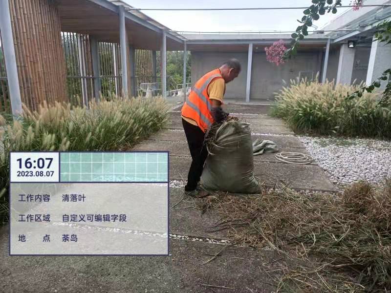 綠化養(yǎng)護(hù)