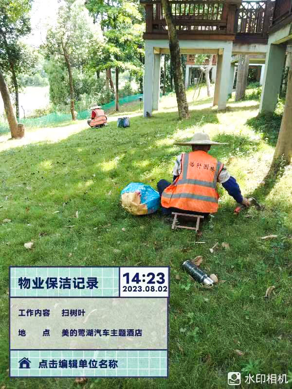 波斯菊,綠化養護