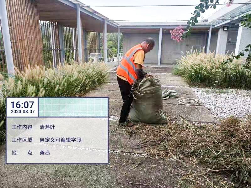 綠化養(yǎng)護,綠化工程