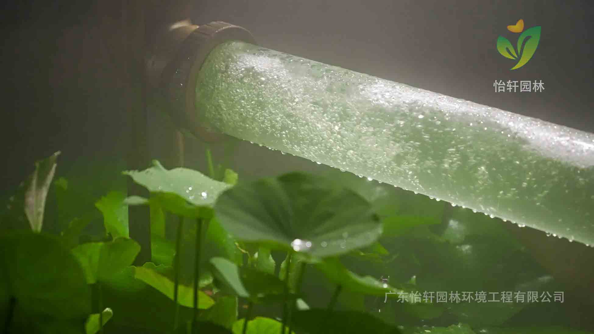 景觀設計,微藻 景觀設計,微藻