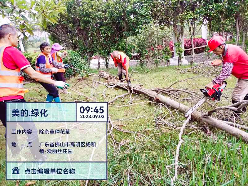 綠化養(yǎng)護(hù) 綠化養(yǎng)護(hù)