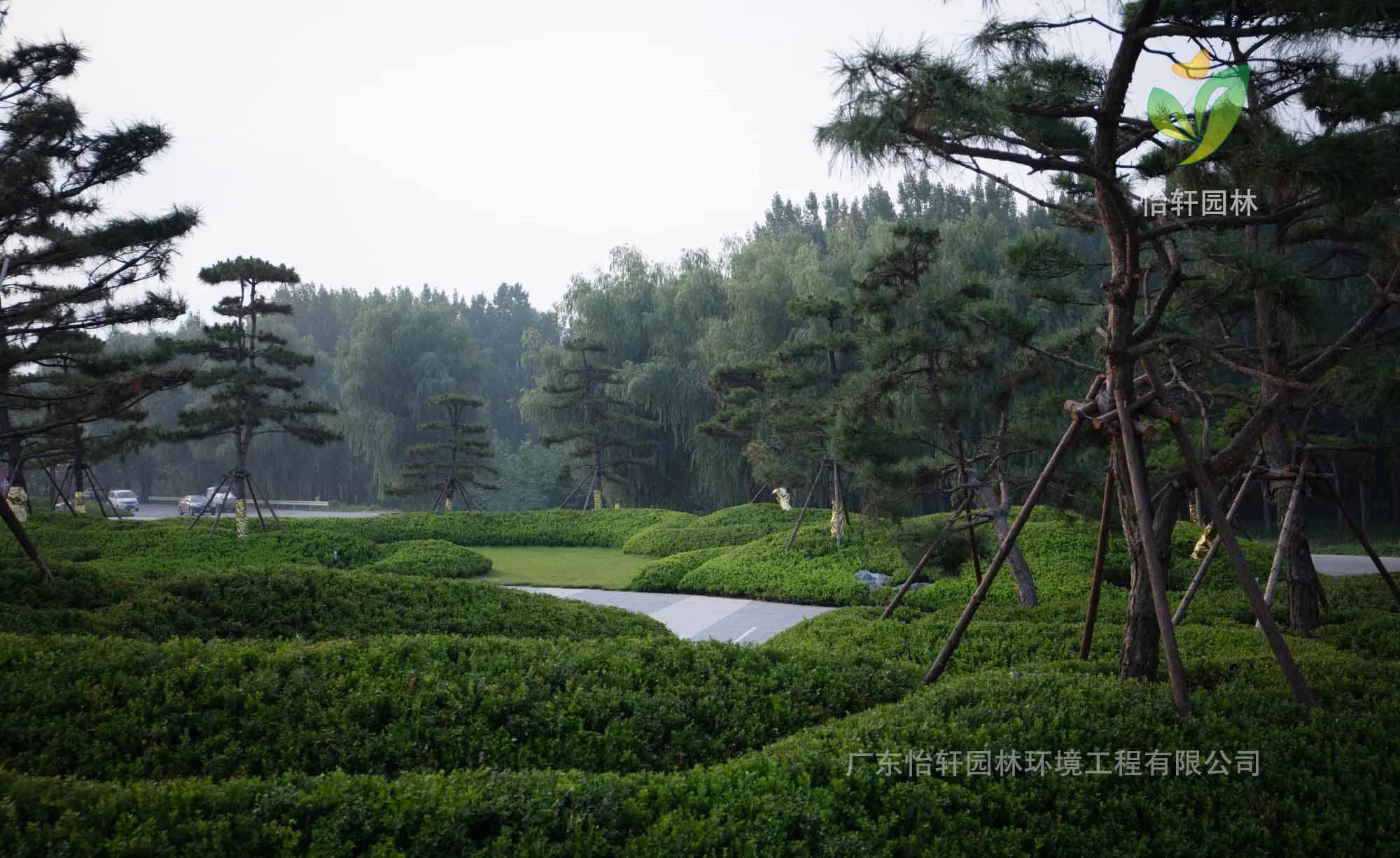 景觀設計 景觀設計