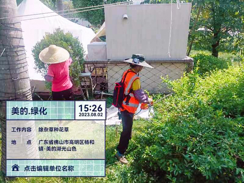 園林綠化 園林綠化