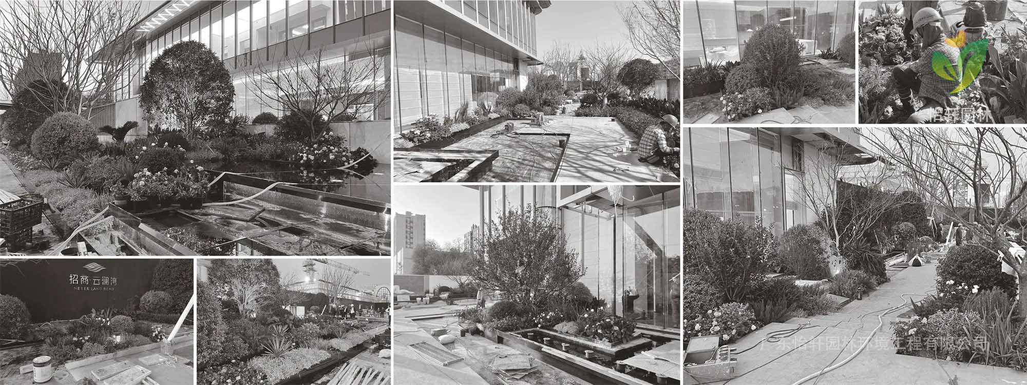 花境設計 花境設計