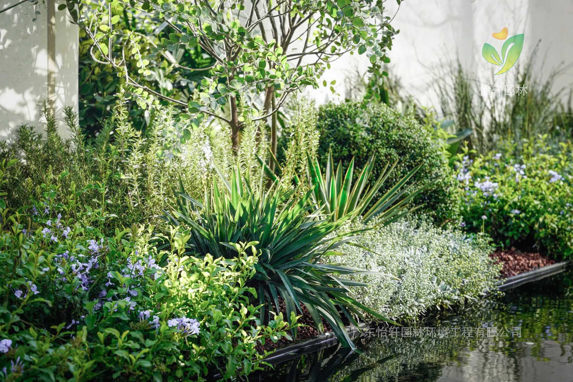 花境設計 花境設計