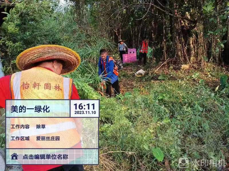 綠化工程 綠化工程