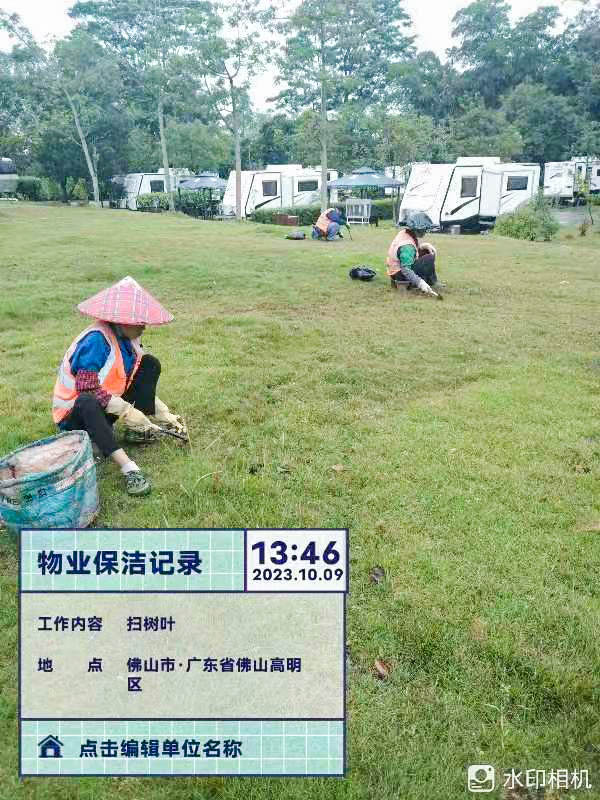 無花果,廣州綠化公司