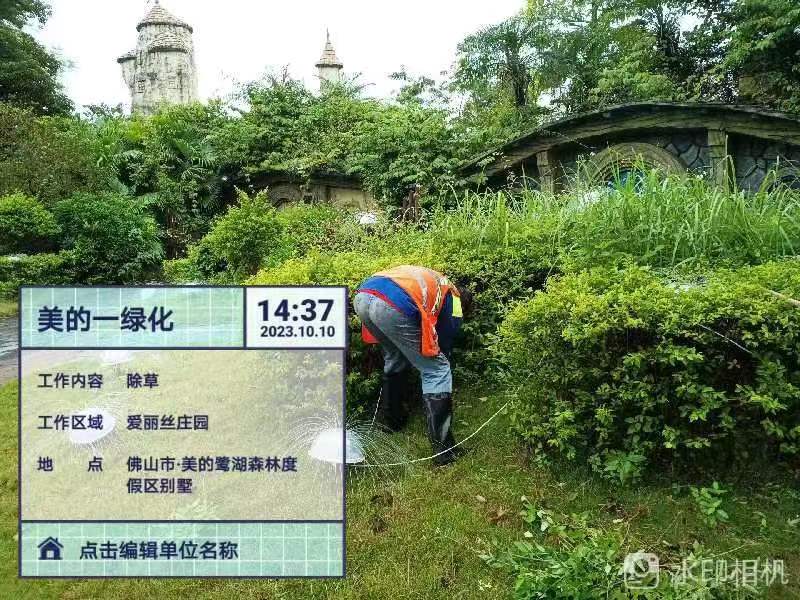 綠化公司,四葉草 綠化公司,四葉草