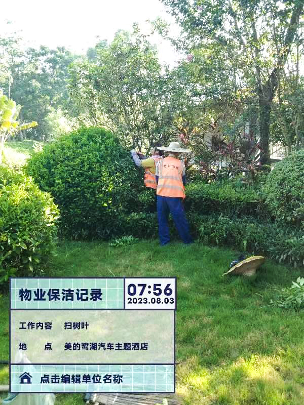 綠化養護,五彩石 綠化養護,五彩石