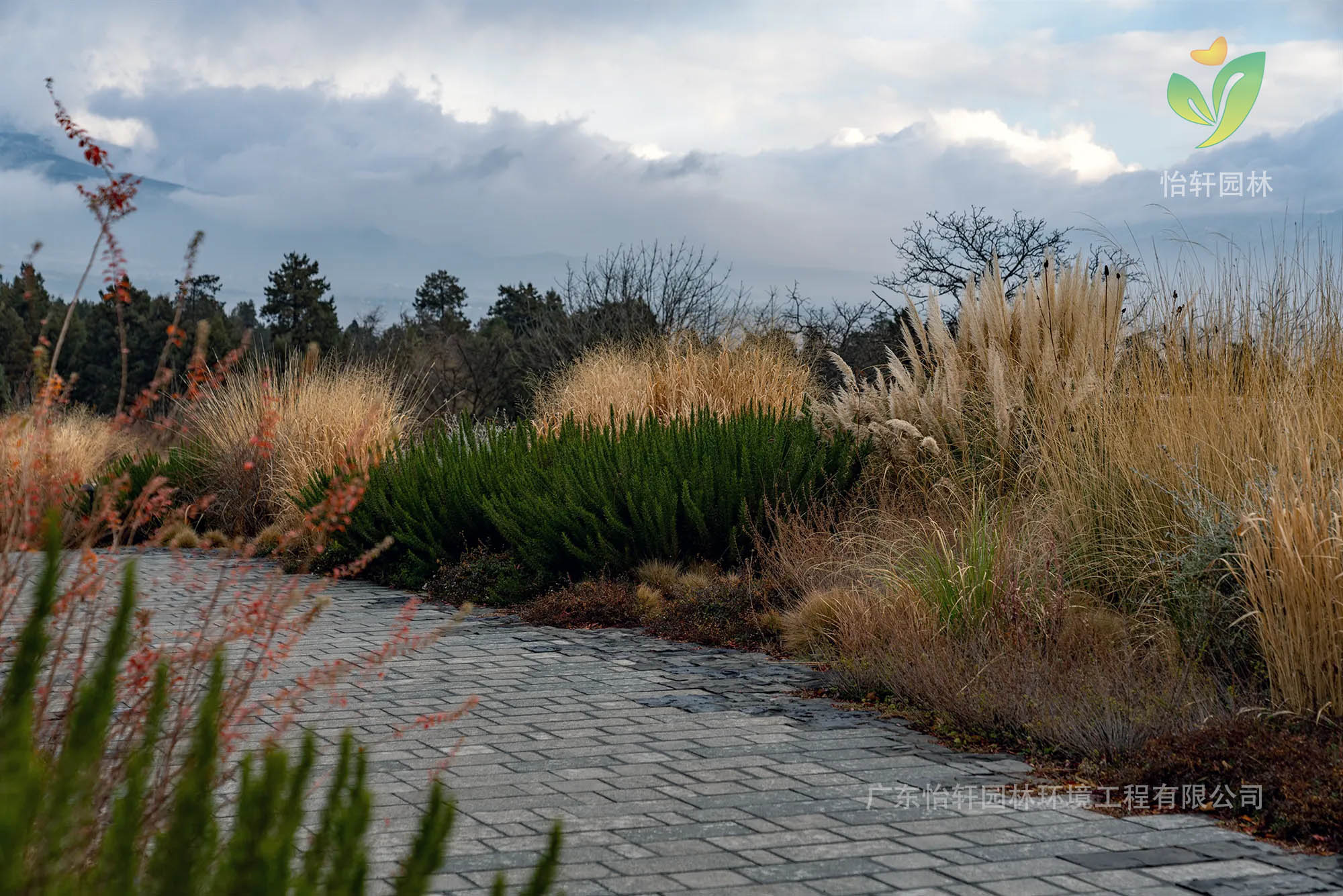 花境設(shè)計 花境設(shè)計